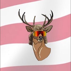 Meet your Posher, Dalton